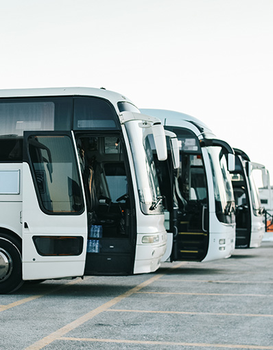 bus