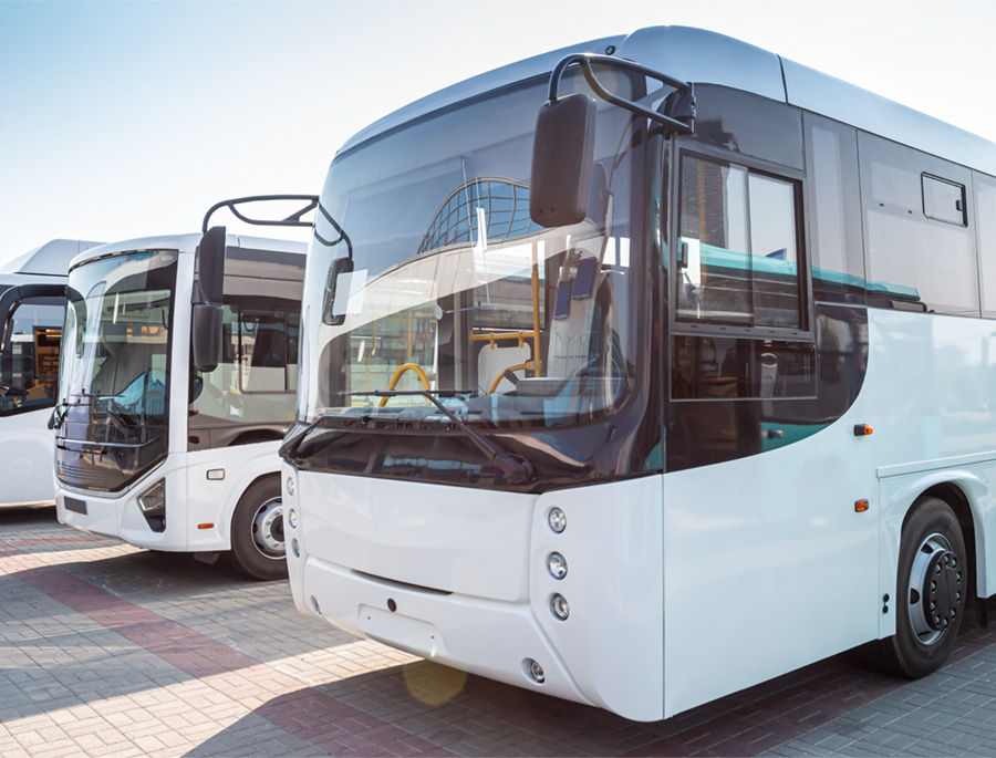 Matters Bus Coaches