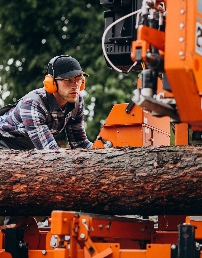 Solutions Forestry